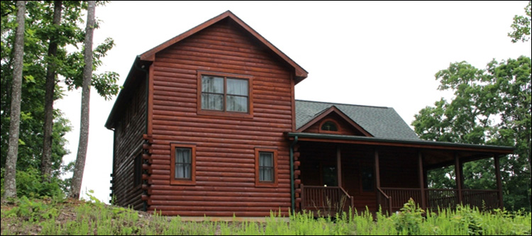 Professional Log Home Borate Application  Muscogee County, Georgia